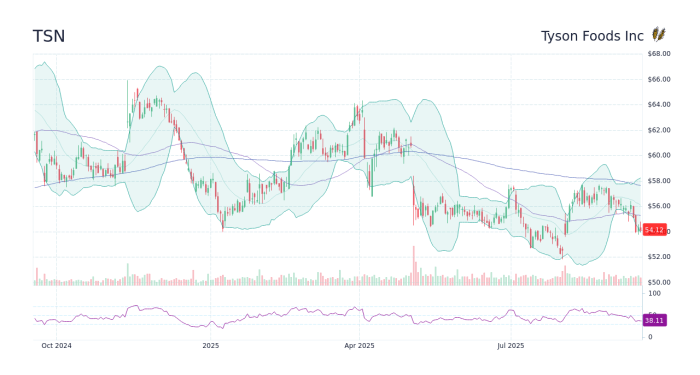 TSN - Tyson Foods Inc Stock Price Forecast 2025, 2026, 2030 to 2050 ...